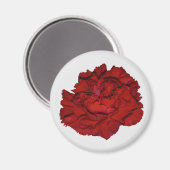 Magneet met rode anjer (Voorkant / Achterkant)