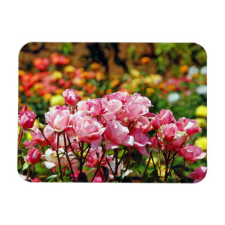 Magneet met roze rozenprint