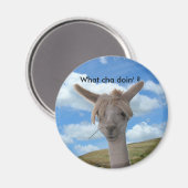 Magneet - Nieuwsgierig Alpaca (Voorkant / Achterkant)