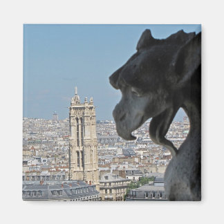 Magneet: Notre-Dame de Paris - Gargoyle Magneet