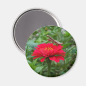 Magneet-rond/Bidden Mantis & Zinnie Magneet (Voorkant / Achterkant)