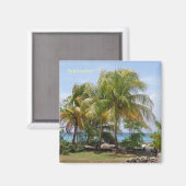 Magneet van Palmen in Barbados (Voorkant / Achterkant)
