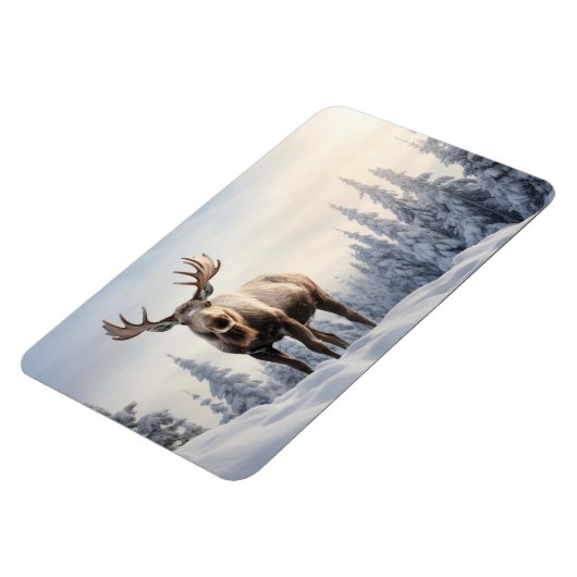 magneeteland magneet (Linkerzijde)