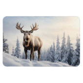 magneeteland magneet (Horizontaal)