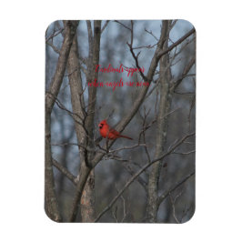 Magneetkardinalen verschijnen wanneer engelen in d magneet