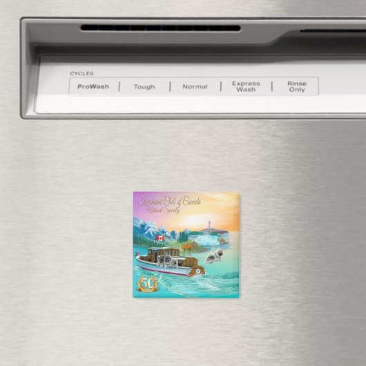 Magnet (In Situ (Lave-vaisselle))