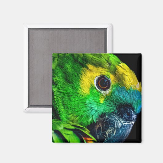 Magnet (Recto/Verso)