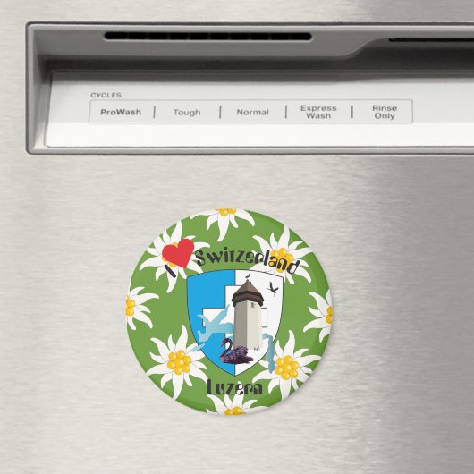 Magnet (In Situ (Lave-vaisselle))