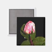 Magnet (Recto/Verso)