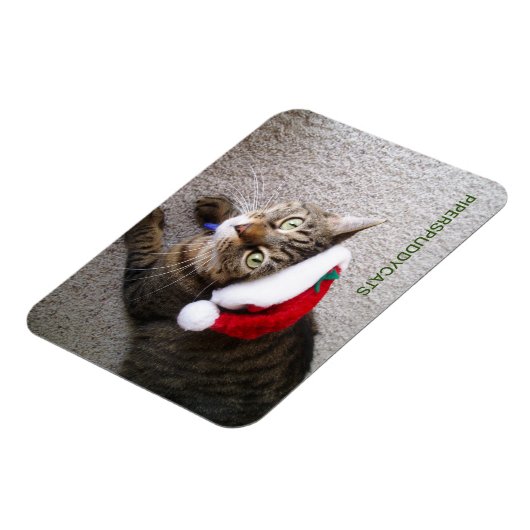 Magnet (Côté Gauche)