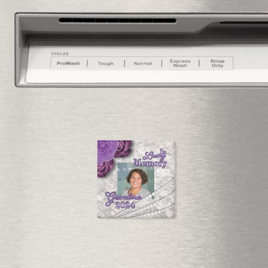 Magnet (In Situ (Lave-vaisselle))