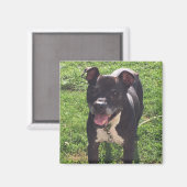 Magnet (Recto/Verso)