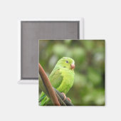 Magnet (Recto/Verso)