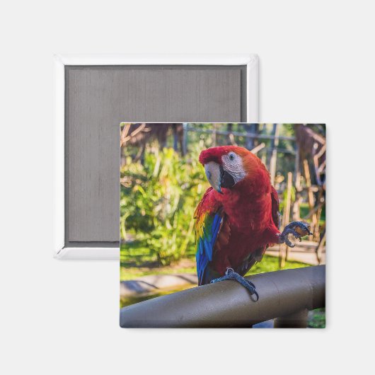 Magnet (Recto/Verso)