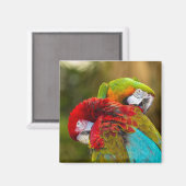 Magnet (Recto/Verso)