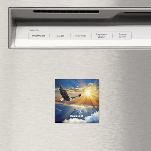 Magnet (In Situ (Lave-vaisselle))