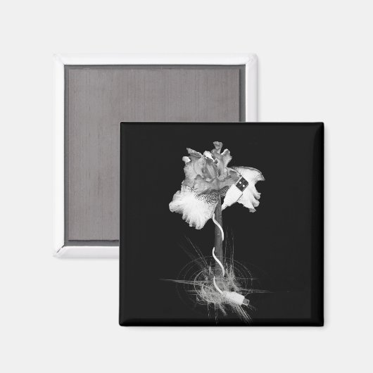 Magnet (Recto/Verso)