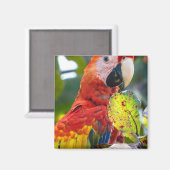 Magnet (Recto/Verso)