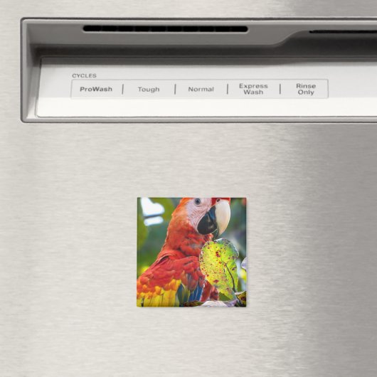 Magnet (In Situ (Lave-vaisselle))