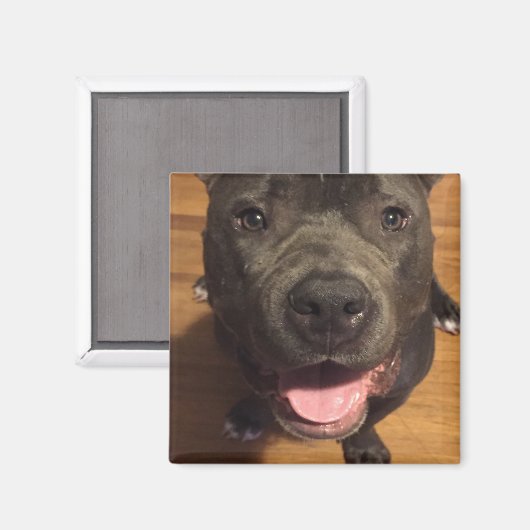 Magnet (Recto/Verso)