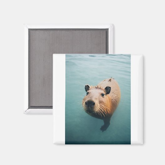 Magnet (Recto/Verso)