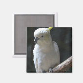 Magnet (Recto/Verso)