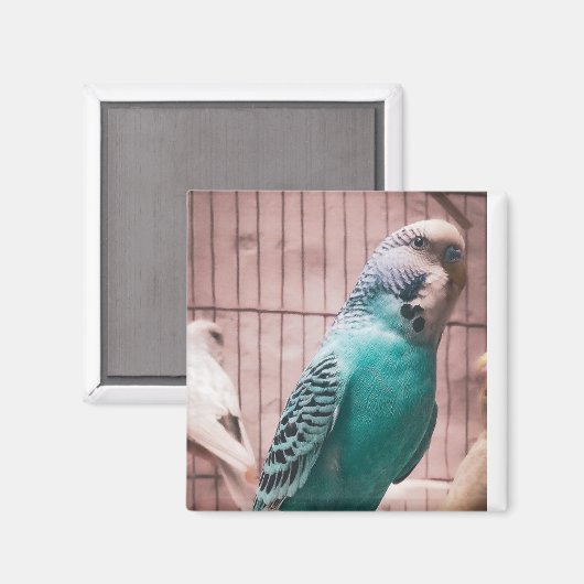 Magnet (Recto/Verso)