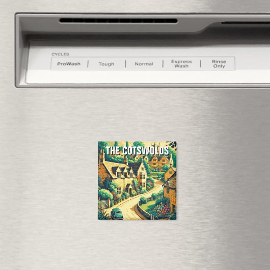 Magnet (In Situ (Lave-vaisselle))