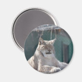 MAGNET 09 (Recto/Verso)