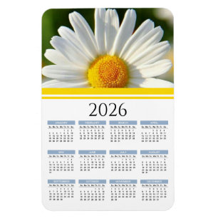 Magnet 2023 Brillant Shasta Daisy Calendrier Flora