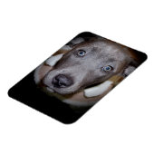 MAGNET À POULET BLEU À NOEUD (Côté Gauche)