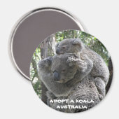 Magnet Adopter Une Koala Australie ZIZAGO (Recto/Verso)
