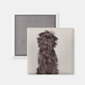 Magnet Affenpinscher (Recto/Verso)
