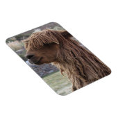 MAGNET ALPACA FLEXIBLE (Côté Droit)