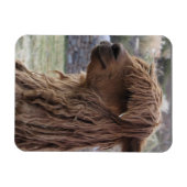 MAGNET ALPACA FLEXIBLE (Horizontal)