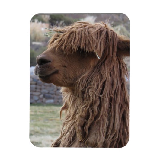 MAGNET ALPACA FLEXIBLE (Vertical)