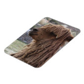 MAGNET ALPACA FLEXIBLE (Côté Gauche)