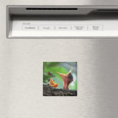 Magnet - Amerikaanse Robin Babies Magneet (Insitu (Vaatwasser))