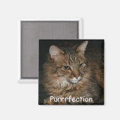 Magnet Amoureux des chats (Recto/Verso)