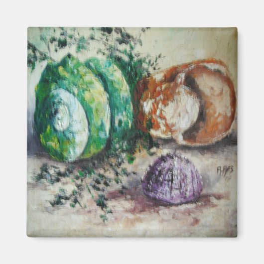 Magnet Ann Hayes Peinture Coques de mer (Devant)