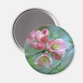 Magnet Apple Blossom #P0356 (Recto/Verso)