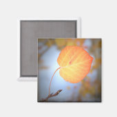 Magnet-Aspen Leaf Magneet (Voorkant / Achterkant)
