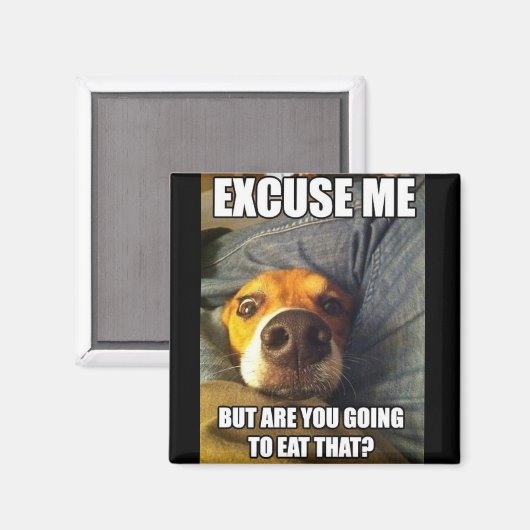 MAGNET AVEC DES DISCUSSIONS (Recto/Verso)