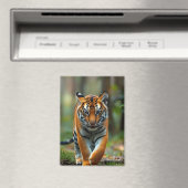 Magnet avec image (In Situ (Lave-vaisselle))