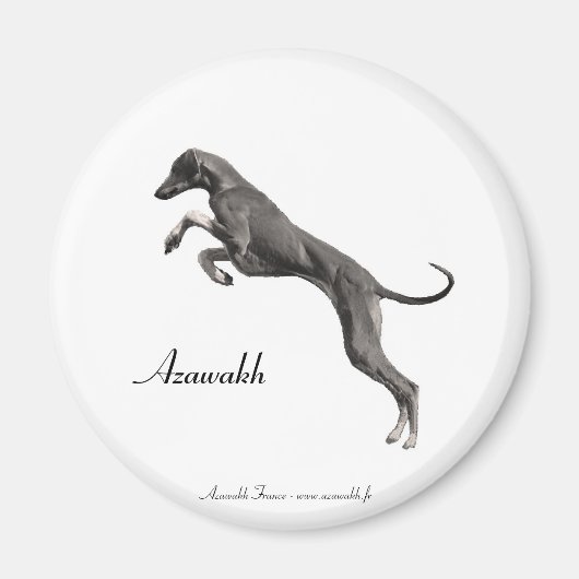 MAGNET Azawakh 2 (Devant)