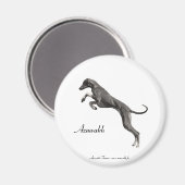 MAGNET Azawakh 2 Magneet (Voorkant / Achterkant)