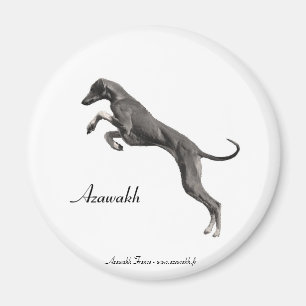 MAGNET Azawakh 2 Magneet