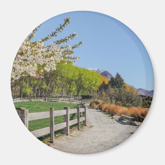 Magnet - backdrop of Walter's peak (Devant)