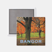 Magnet Bangor (Recto/Verso)