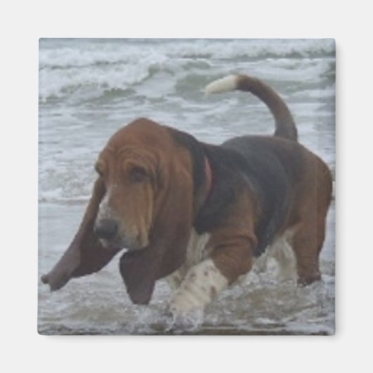 Magnet Basset Hound By the Sea (Devant)